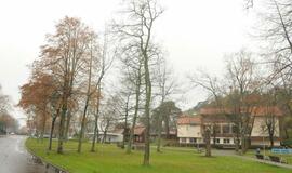 Neringos miesto jubiliejus