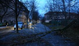 Stichijos padariniai Klaipėdoje