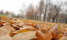 Talka Skulptūrų parke