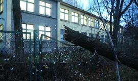 Stichijos padariniai Klaipėdoje