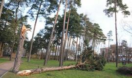 Stichijos padariniai Klaipėdoje