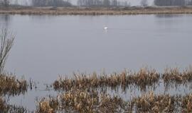 Sekmadienį iš vandens telkinių ištraukti penki žmonės