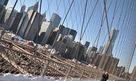 Brangiausią butą Niujorke nupirko Rusijos milijardierius