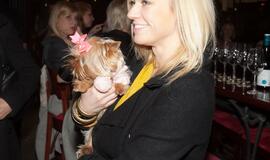 Pristatyta laida "Keturkojis šou"