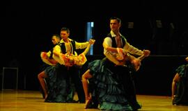 Ansamblio "Žuvėdra" koncertas "Švyturio" arenoje