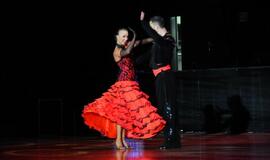 Ansamblio "Žuvėdra" koncertas "Švyturio" arenoje