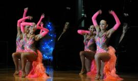 Ansamblio "Žuvėdra" koncertas "Švyturio" arenoje