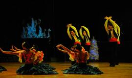 Ansamblio "Žuvėdra" koncertas "Švyturio" arenoje