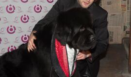 Pristatyta laida "Keturkojis šou"