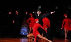 Ansamblio "Žuvėdra" koncertas "Švyturio" arenoje