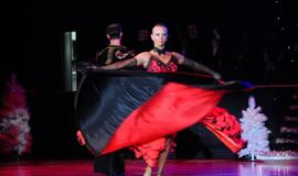 Ansamblio "Žuvėdra" koncertas "Švyturio" arenoje