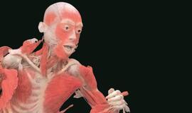Pirmą kartą Lietuvoje - populiariausia paroda pasaulyje "The Human Body Exhibition"