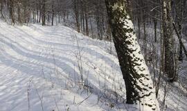 Sausio 26-oji: vardadieniai, dangaus kūnai, istorija