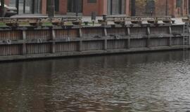 Į Danę įmesto vaikino istorija: dar viena bausmė