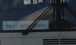 Iš Dituvos - lediniame autobuse