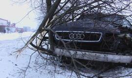 Neblaivaus vairuotojo "Audi" keitė gatvių apšvietimą