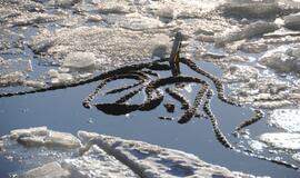 Uoste ties krantine nuskendo žemsiurbė