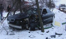 Neblaivaus vairuotojo "Audi" keitė gatvių apšvietimą