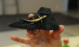 Senjorams svarbu ir mylėti, ir mylėtis