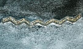 Vytautas Karčiauskas visuomenei pristatė savo naują skulptūrą