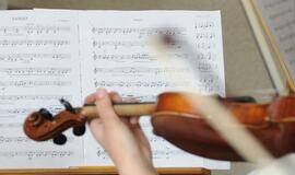 Japonijos mokslininkas iš vorų šilko pagamino smuiko stygas