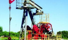 Klaipėdos rajone atrastas naujas naftos telkinys