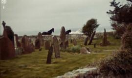 "Google" stebi ne vieną gatvę