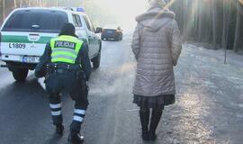 Moters vairuojamas BMW partrenkė stirną