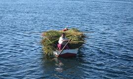 Peru: aukso ir kraujo imperija