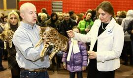 Kačių paroda Klaipėdoje