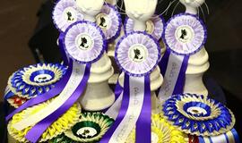 Kačių paroda Klaipėdoje