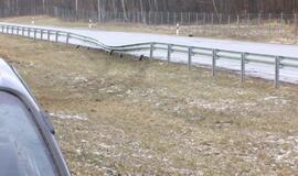 Iš paskaitų skubėjo namo, bet užklupo liūtis