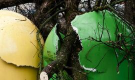 Stiprus vėjas vartė medžius