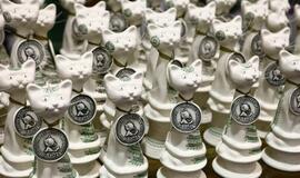 Kačių paroda Klaipėdoje