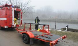 Danės upėje -  naftos dėmės