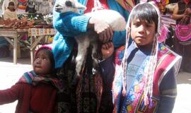 Peru: aukso ir kraujo imperija