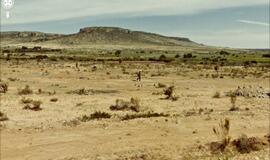 "Google" stebi ne vieną gatvę