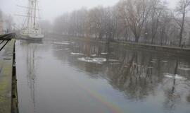 Danės upėje -  naftos dėmės