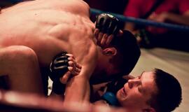 Pavasarį kovotojai pasitiko "Profi Box" turnyre