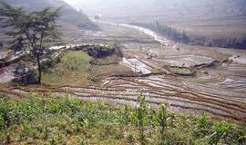 Vietnamiečiai neturi laiko pietauti