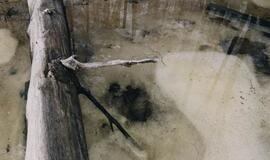 Žemės menas - trapus kūrėjų dialogas su gamta