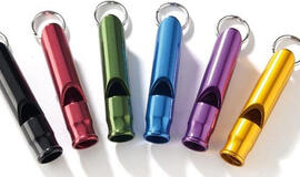 JAV rungtyniauja geriausi pasaulyje švilpautojai