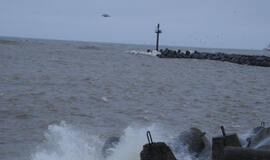 Klaipėda: VE.lt pristato balandžio 2-osios renginius