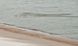 Kuršių nerijoje kilo kovinės raketos