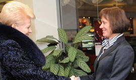 Ką žinome apie ES kontorėlių veiklos rezultatus?