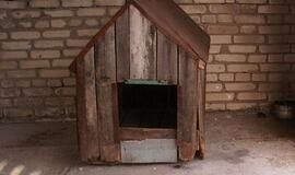 Kretingiškis bute surengė egzekuciją šuniui