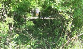 Girtas vairuotojas automobilį "paslėpė" krūmuose