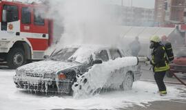 Ugniagesiai pakvietė miestiečius švęsti kartu