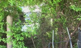 Girtas vairuotojas automobilį "paslėpė" krūmuose