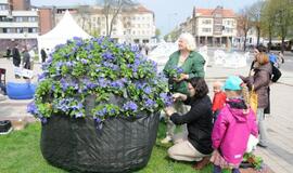 Atgimimo aikštėje susivienijo kartos